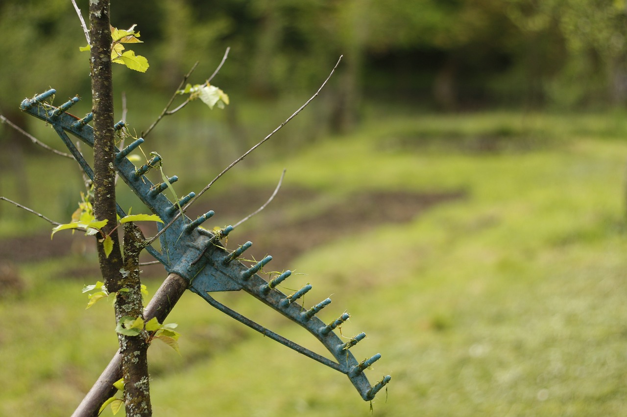 Weeding Rake is Essential