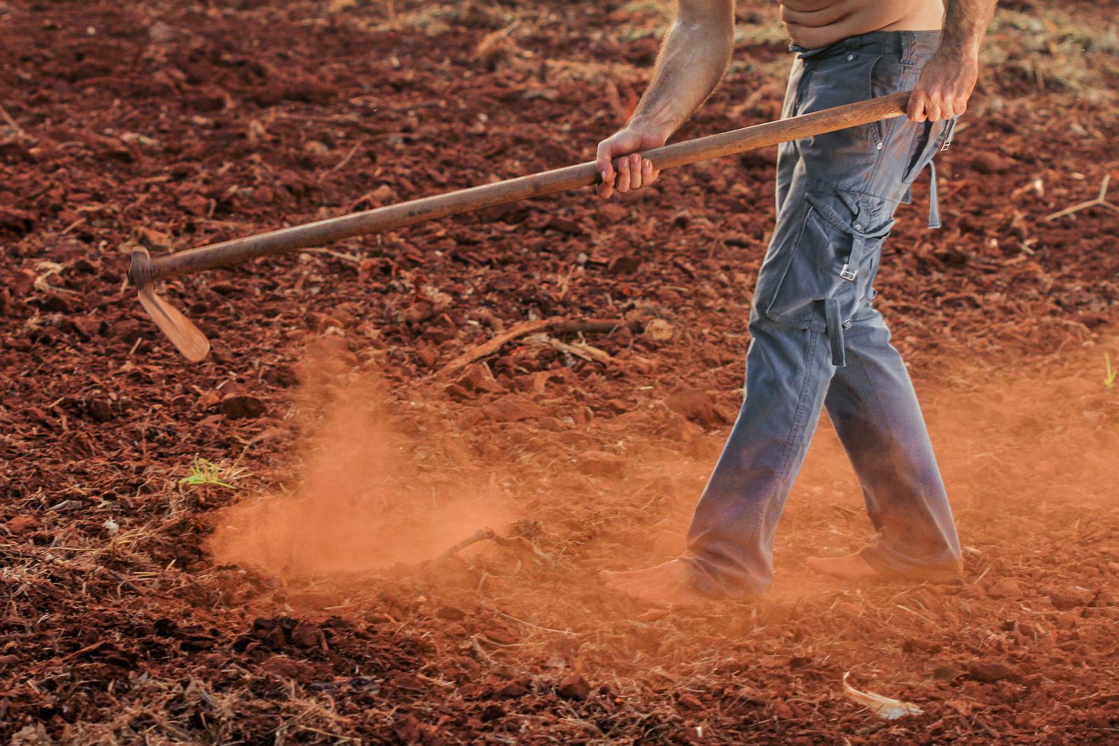 Best Garden Hoes for Efficient Weeding