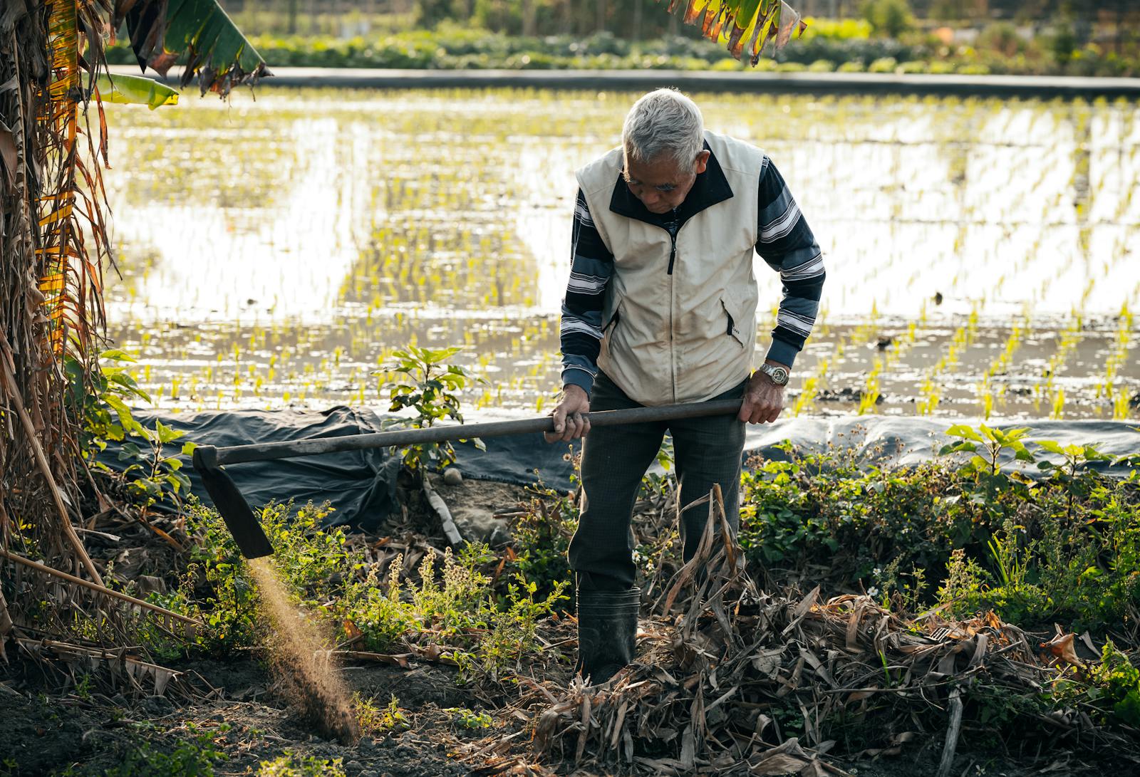 Long Handled Weeding Tools for Effortless Garden Maintenance