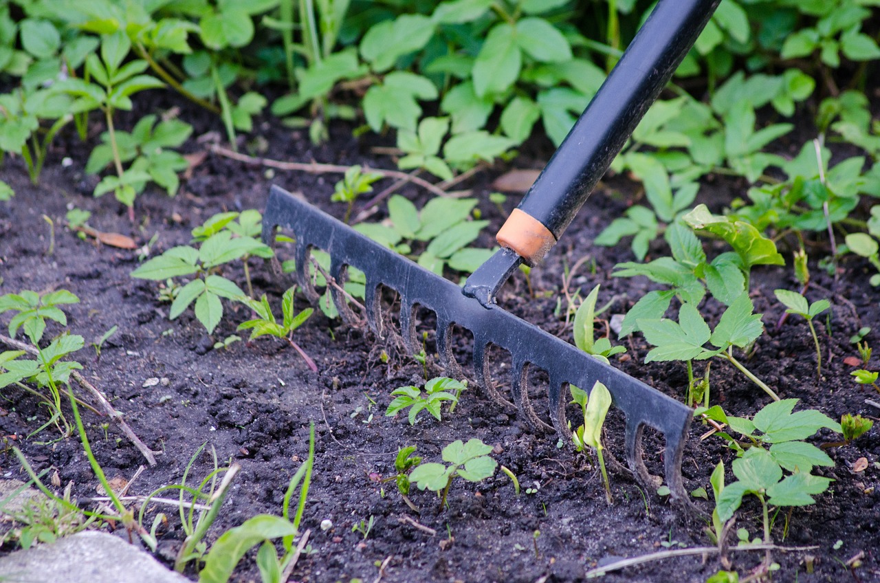 Weeding Rake is Essential for Garden Maintenance