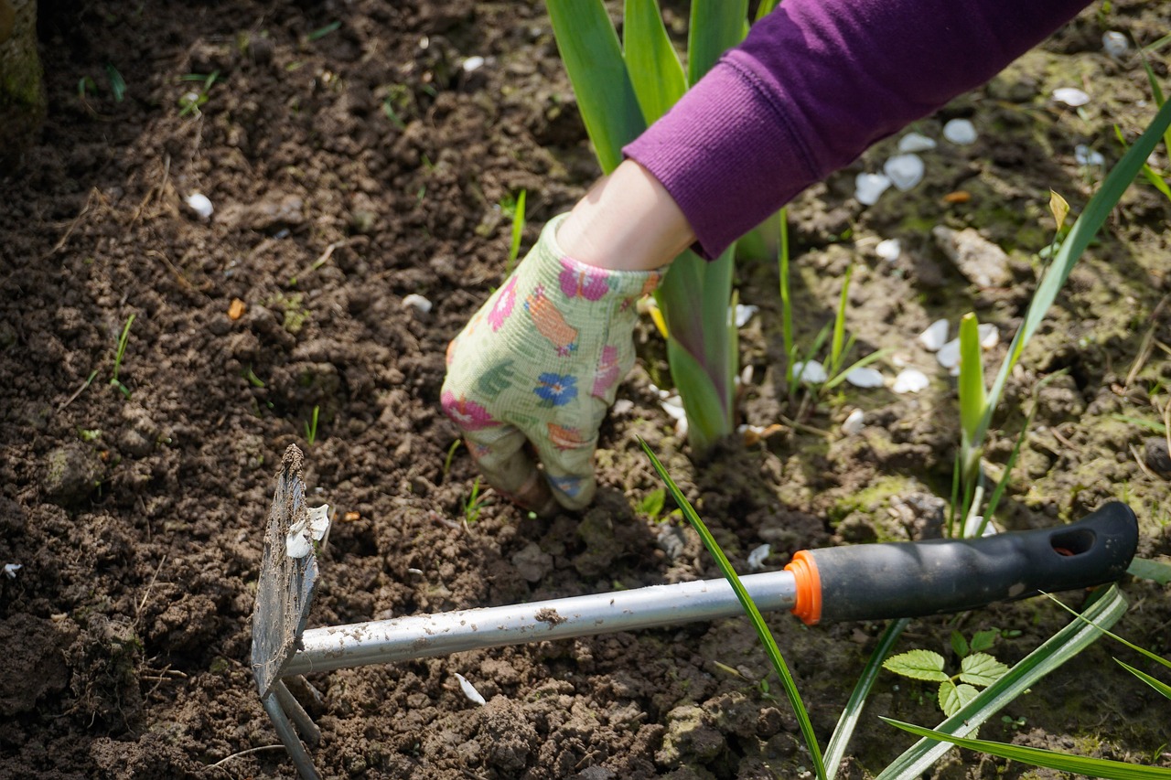 Essential Weeding Tools