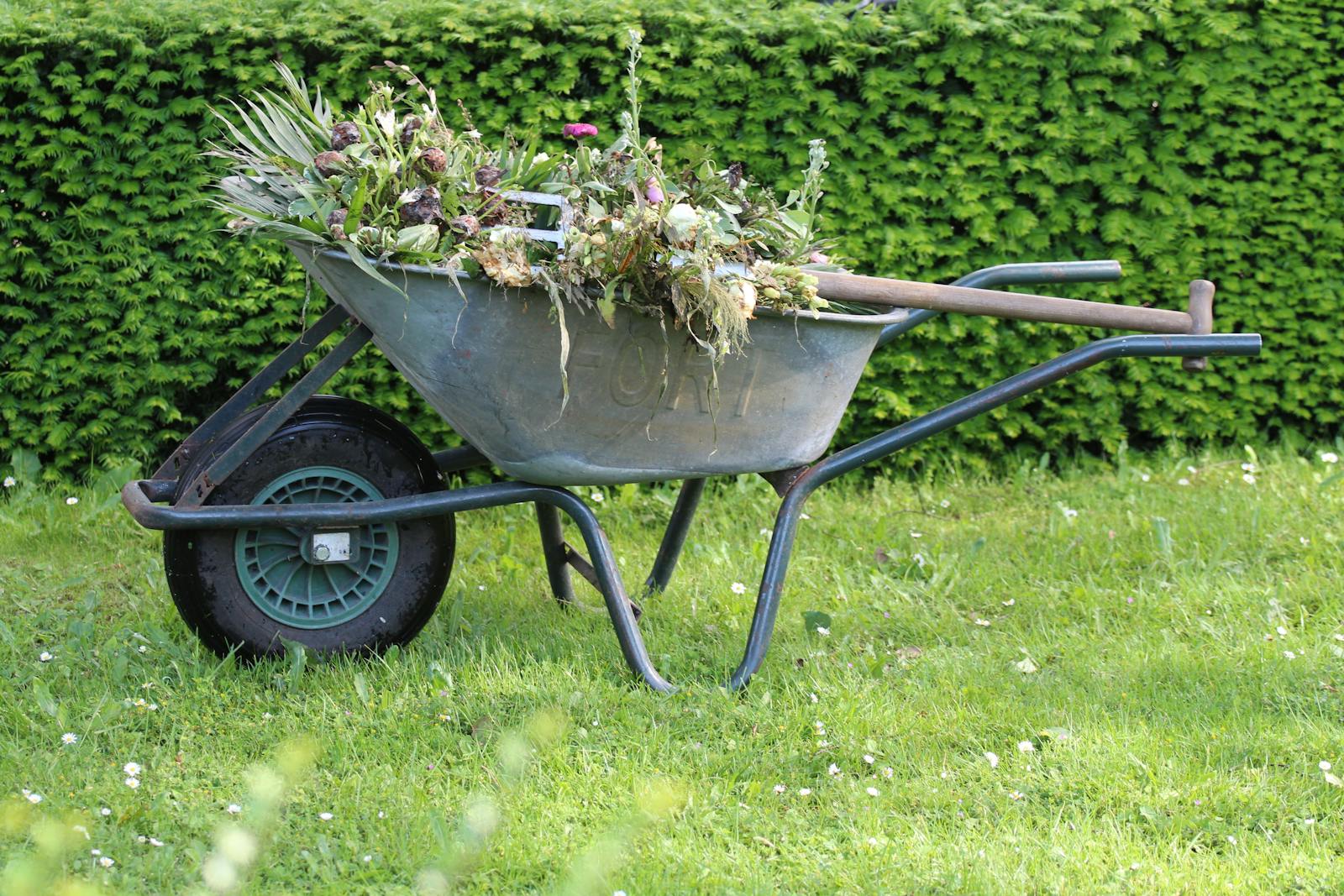 Weeding Tools Every Gardener Needs