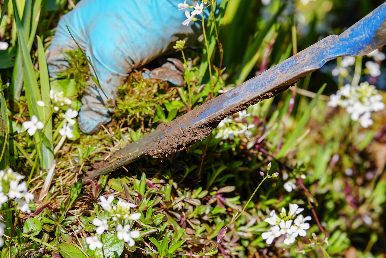 Weeding Tools