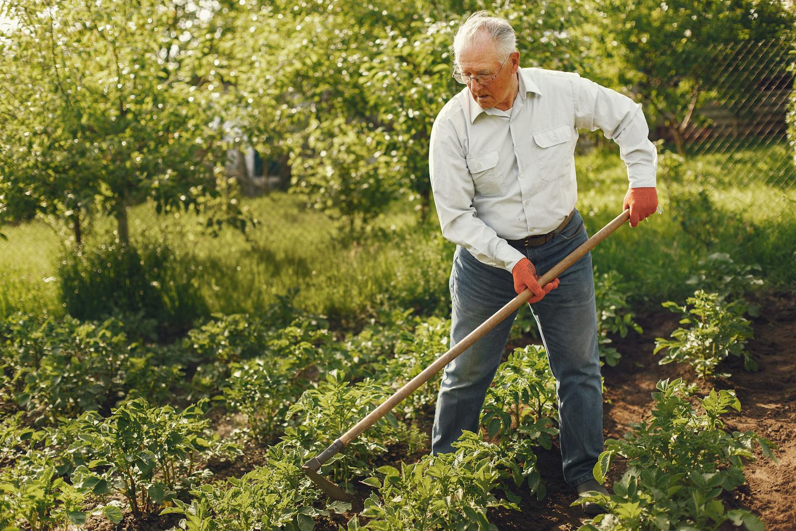 Long Handled Weeding Tools